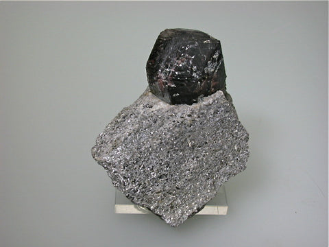 Garnet var. Almandine in Mica, Altay, Xinjiang, China, Mined ca. 2008, Kalaskie Collection #1024, Small Cabinet 3.5 x 6.0 x 7.5 cm, $85. Online 2/27.