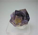 Fluorite (Penetration Law Twin), Rosiclare Level, North-End, Denton Mine, Ozark-Mahoning Company, Harris Creek District, Southern Illinois 2 x 2 x 2.3 cm $15.SOLD.