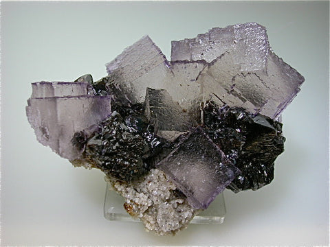 Fluorite and Sphalerite, Elmwood Complex, Smith County near Carthage, Tennessee, Mined ca. 1994, Kalaskie Collection #42-243, Medium Cabinet 6.0 x 9.0 x 11.0 cm, $350.  Online 3/1.