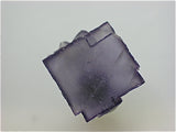 Fluorite, Rosiclare Level, Minerva #1 Mine, Cave-in-Rock District, Southern Illinois 1.5 x 2 x 2 cm $40. Online 9/06 SOLD