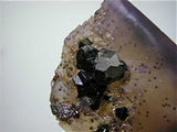 Sphalerite on Fluorite, Butterknife Pod Denton Mine, Ozark-Mahoning Company, Harris Creek District, Southern Illinois, Mined ca. 1986, Koster Collection #00668, Medium Cabinet 6.0 x 6.5 x 6.8 cm, $250. Online 3/11. SOLD.