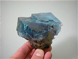 Fluorite, Rosiclare Level Minerva #1 Mine, Ozark-Mahoning Company, Cave-in-Rock District, Southern Illinois, Mined ca. 1993, Koster Collection #00605, Medium Cabinet 6.5 x 7.5 x 8.5 cm, $450. Online 3/11.  SOLD.