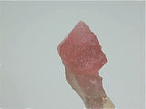 Fluorite, Argentrire Glacier, Chamonix, Mt. Blanc, France, Kalaskie Collection #42-73, Miniature 2.0 x 2.2 x 3.0 cm, $300. Online 11/8