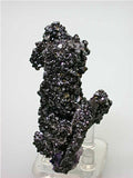 Sphalerite after Fluorite, Rosiclare Level Denton Mine, Ozark-Mahoning Company, Harris Creek District, Southern Illinois, Mined August 1990, Koster Collection, Miniature 3.0 x 5.0 x 7.5 cm, $250. Online 03/07.  SOLD.