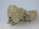 Strontianite, Rosiclare Level Minerva #1 Mine, attr: North Bishop Tract, Minerva Oil Company, Cave-in-Rock District, Southern Illinois, Mined c. late 1970s, Dr. Perry & Anne Bynum Collection, Miniature 2.2 x 2.5 X 4.0 cm, $25.  Online 11/9. SOLD.