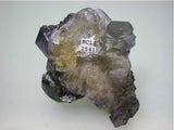 Sphalerite on Fluorite, Rosiclare Level Butterknife Pod Denton Mine, Ozark-Mahoning Company, Harris Creek District, Southern Illinois, Mined c. 1986-1988, Tolonen Collection, Miniature 4.0 x 4.5 x 5.5 cm, $350.  Online 1/13 SOLD