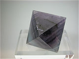 Polished Fluorite, Annabel Lee Mine, Harris Creek District, Southern Illinois 4 cm on edge $75. Online August 1