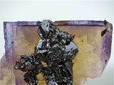 Sphalerite on Fluorite, Rosiclare Level, Butterknife Pod attr., Denton Mine, Ozark-Mahoning Company, Harris Creek District, Southern Illinois, Mined c. 1986-1988, Tolonen Collection, Small Cabinet 4.5 x 7.5 x 8.5 cm, $650.  Online 1/15. SOLD.