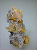 Calcite and Barite on Fluorite, Sub-Rosiclare Level, Lillie Pod, Denton Mine, Ozark-Mahoning Company, Harris Creek District, Southern Illinois, Mined c. 1983-1985, Tolonen Collection, Miniature 3.0 x 4.0 x 6.5 cm, $350.  Online 1/13. SOLD