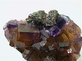 Sphalerite and Fluorite, Rosiclare Level Minerva #1 Mine, Ozark-Mahoning Company, Cave-in-Rock District, Southern Illinois, Mined ca. 1992, Koster Collection, Miniature 2.5 x 6.0 x 8.0 cm, $125. Online 03/07 SOLD