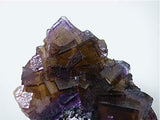 Sphalerite and Fluorite, Rosiclare Level Minerva #1 Mine, Ozark-Mahoning Company, Cave-in-Rock District, Southern Illinois, Mined ca. 1992, Koster Collection, Miniature 2.5 x 6.0 x 8.0 cm, $125. Online 03/07 SOLD