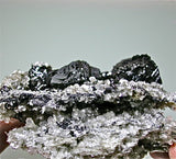 Cassiterite on Muscovite, Bao Feng Wu Mine, Sichuan Province, China, Kalaskie Collection #206, Medium Cabinet 6.0 x 11.0 x 12.0 cm, $1200. Online 3/1