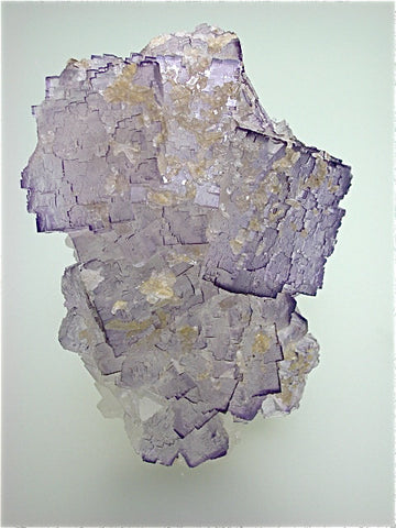 Fluorite with Celestite, El Tule Mine, Musquiz, Coahuila, Mexico, Kalaskie Collection #42-244, Medium Cabinet 4.0 x 8.5 x 12.0 cm, $250.  Online 3/1.