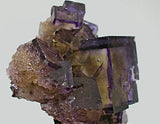 Fluorite, Rosiclare Level Minerva #1 Mine, Ozark-Mahoning Company, Cave-in-Rock District, Southern Illinois, Mined ca. 1991-1993, Koster Collection #00049, Miniature 3.0 x 3.5 x 6.0 cm, $250. Online 03/07.  SOLD.