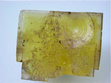 Fluorite, Rosiclare Level Cross-Cut Ore Body, Minerva #1 Mine, Ozark-Mahoning Company, Cave-in-Rock District, Southern Illinois, Mined c. 1990-1995, Tolonen Collection, Miniature 3.0 x 3.5 x 4.5 cm  $250.  Online 1/15 SOLD