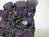 Fluorite and Galena on Sphalerite, Sub-Rosiclare Level Annabel Lee Mine, Ozark-Mahoning Company, Harris Creek District, Southern Illinois, Mined ca. late 1980's, Koster Collection, Miniature 4.0 x 6.0 x 8.5 cm, $150. Online 03/07. SOLD.