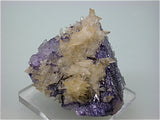 Calcite on Fluorite, Rosiclare Level Minerva #1 Mine, Ozark-Mahoning Mining Company, Cave-in-Rock District, S. Illinois, Mined April 1995, Kalaskie Collection #42-268, Miniature 5.0 x 5.5 x 6.0 cm, $250. Online 1/12.
