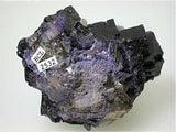 Celestite on Fluorite, Sub-Rosiclare Level, Annabel Lee Mine, Ozark-Mahoning Company, Harris Creek District, Southern Illinois, Mined c. 1987-1988, Tolonen Collection, Miniature 3.0 x 4.5 x 5.8 cm, $650.  Online 1/15 SOLD.