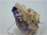 Calcite on Fluorite, Rosiclare Level Minerva #1 Mine, Ozark-Mahoning Mining Company, Cave-in-Rock District, S. Illinois, Mined April 1995, Kalaskie Collection #42-268, Miniature 5.0 x 5.5 x 6.0 cm, $250. Online Jan 28