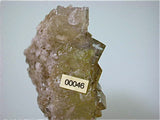 Fluorite with Chalcopyrite, Rosiclare Level Minerva #1 Mine, Ozark-Mahoning Company, Cave-in-Rock District, Southern Illinois, Mined ca. 1990-1992, Koster Collection #00046, Miniature 2.2 x 6.0 x 8.0 cm, $250. Online 03/07. SOLD.