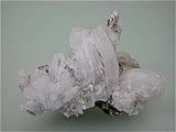 SOLD Selenite var. Ram's Horn, Naica Complex, Chihuahua, Mexico, Kalaskie Collection #808, Small Cabinet 7.0 x 7.0 x 12.5 cm, $450. Online 1/12.