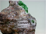 Conichalcite on Quartz, American Eagle Mine, Tintic District, East Tintic Mountains, Juab County, Utah, Noll Collection #CN1664, Miniature 5.5 x 5.5 x 7.0 cm, $200. Online 07/11. SOLD.