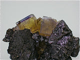 Fluorite and Sphalerite, Rosiclare Level Minerva #1 Mine, Ozark-Mahoning Company, Cave-in-Rock District, S. Illinois, Mined 1993, Kalaskie Collection #42-253, Small Cabinet 4.5 x 7.0 x 10.0 cm, $480. Online 1/12.