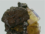 Fluorite and Sphalerite, Rosiclare Level Minerva #1 Mine, Ozark-Mahoning Company, Cave-in-Rock District, S. Illinois, Mined 1993, Kalaskie Collection #42-253, Small Cabinet 4.5 x 7.0 x 10.0 cm, $480. Online 1/12.