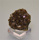 Andradite, Stanley Butte, Graham County, Arizona, Holzner Collection #829, Miniature 2.5 x 4.5 x 6.0 cm, $125.  Online 5/1