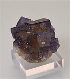 SOLD Fluorite with Calcite, Rosiclare Level attr. Denton Mine, Ozark-Mahoning Company, Harris Creek District, Southern Illinois, Mined ca. mid-1980s, Holzner Collection, Miniature 3.0 x 4.5 x 5.5  cm, $125.  Online 4/30.