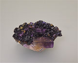 Sphalerite and Fluorite with Chalcopyrite, attr. Sub-Rosiclare Level North-End Denton Mine, Ozark-Mahoning Company, Harris Creek District, Southern Illinois, Mined ca. 1983, Holzner Collection #C009, Small Cabinet 5.0 x 6.5 x 8.0  cm, $250.  Online 5/1