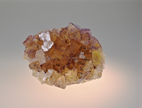 ON APPROVAL.  Fluorite with Chalcopyrite, Bethel Level, M.F. Oxford #7 (attr.), Ozark-Mahoning Company (attr.), Cave-in-Rock District, Southern Illinois Small cabinet 3.5 x 7 x 9 cm $200. Online 6/9