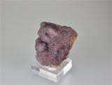 SOLD Fluorite 'Botryoidal', Canon City, Fremont, Colorado, Holzner Collection #789, Miniature 2.5 x 5.0 x 5.5 cm, $125. Online 8/10.