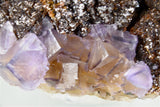 Fluorite and Sphalerite, Rosiclare Level Minerva #1 Mine, Ozark-Mahoning Company, Cave-in-Rock District, Southern Illinois, Mined Nov. 1993, Kalaskie Collection #42-236, Medium Cabinet 6.0 x 8.0 x 12.0 cm, $300.  Online 8/23.