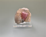 SOLD Tourmaline on Quartz, attr. Himalya Mine, Pala, San Diego, CA, Collected 1980's,  Ralph Campbell Collection, Miniature 3.5 x 4.0 x 5.0 cm, $50.  Online 10/5.