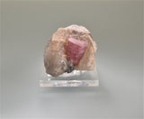 SOLD Tourmaline on Quartz, attr. Himalya Mine, Pala, San Diego, CA, Collected 1980's,  Ralph Campbell Collection, Miniature 3.5 x 4.0 x 5.0 cm, $50.  Online 10/5.