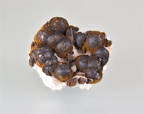 Limonite after Marcasite, Smith County, North Carolina, Holzner Collection #742, Miniature 2.0 x 4.0 x 5.0 cm, $75.  Online 8/23.