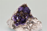 Fluorite, Auglaize Quarry, Junction, Ohio, Ralph Campbell Collection, Small Cabinet 5.0 x 5.5 x 9.0 cm, $250. Online 10/5.
