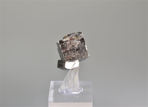Pyrite with Quartz, Spruce Claims, King County, Washington, Ralph Campbell Collection, Miniature 2.5 x 3.0 x 5.3 cm, $250. Online 10/4.