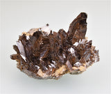 Axinite, Dal'negorsk, Primorskiy Kray, Russia, Mined c. late 1990's, G & J Megerle Collection, Miniature 3.0 x 4.5 x 6.0 cm, $400. Online 1/10.