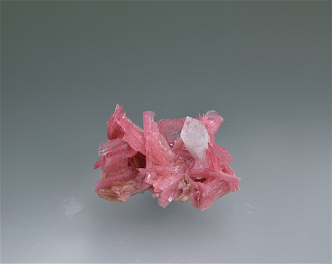 Rhodonite and Quartz, San Martin Mine, Chiurucu, Huallanca, Bolognesi Province, Peru Miniature 2 x 2.5 x 3.5 cm $450. Online 4/25