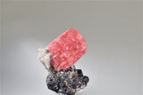 Rhodochrosite on Sphalerite, Wuton (Wudong) Mine, Liubao, Wuzhou Prefecture, Guangxi Ahuang A. R., China, Mined c. 2010, Kalaskie Collection #846, Miniature 3.5 x 4.7 x 6.0 cm, $300. Online 11/2.