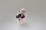 Fluorite on Dolomite, Elmwood Complex, Smith County, Tennessee, Mined c. 1990's, Ralph Campbell Collection, Miniature 2.0 x 2.0 x 4.0 cm, $35. Online 10/4.