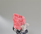 Rhodochrosite on Sphalerite, Wuton (Wudong) Mine, Liubao, Wuzhou Prefecture, Guangxi Ahuang A. R., China, Mined c. 2010, Kalaskie Collection #846, Miniature 3.5 x 4.7 x 6.0 cm, $300. Online 11/2.