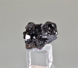 SOLD Sphalerite on Galena and Fluorite, Rosiclare Level Denton Mine, Ozark-Mahoning Company, Harris Creek District, Southern Illinois, Mined c. mid-1980's, Ralph Campbell Collection, Miniature 2.0 x 2.5 x 3.8 cm, $45.  Online 10/5.