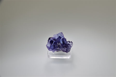 Fluorite, Rosiclare Level Minerva #1 Mine, Ozark-Mahoning Company, Cave-in-Rock District, Southern Illinois, Mined August 1993, Kalaskie Collection #42-278, Miniature 1.5 x 2.5 x 3.0 cm, $125.  Online 10/6.