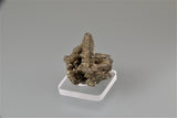 Pyrite after Pyrrhotite, Contessa Mine, Santa Eulalia, Chihuahua, Mexico Miniature 3 x 3 x 3.3 cm $65. Online 11/1