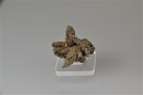 Pyrite after Pyrrhotite, Contessa Mine, Santa Eulalia, Chihuahua, Mexico Miniature 3 x 3 x 3.3 cm $65. Online 11/1
