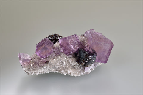 Fluorite and Sphalerite on Dolomite, Elmwood Complex near Carthage, Smith County, Tennessee, Mined 1985, Ralph Campbell Collection, Small Cabinet 5.0 x 5.0 x 11.0 cm, $350. Online 11/1.