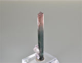 Tourmaline with Quartz and Lepidolite, Las Velhas Mine, Salinas, Minas Gerais, Brazil 1 x 2.2 x 8.2 cm $1800. Online 11/2